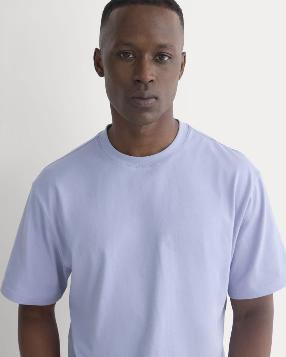 Archive Standard-Fit Cotton Crew | Aleutian - Image 4